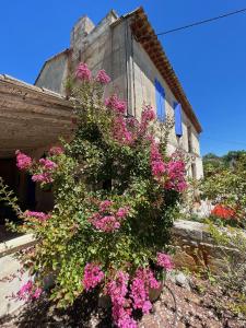 Appartements Le Clos de L'Isle : photos des chambres