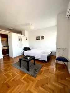 Stan na dan u centru, Inđija - Inđija