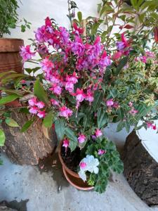 Just an uber cool flat! London Bridge