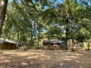 Tentes de luxe Camping la Kahute - Tente lodge au coeur de la foret : photos des chambres