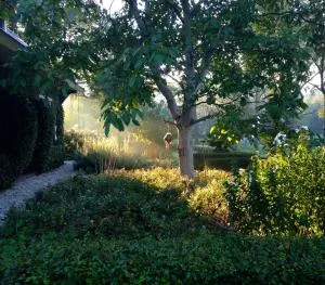 De Spaanse Ruiter - Woudenberg