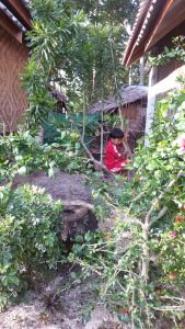 Green Chilli Bungalows