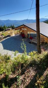 Cabana De Vis Pietrosul