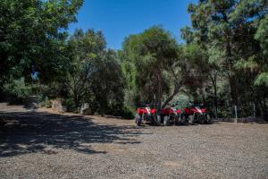 Hotel L'Oleandro img13