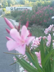 Apartment with direct Sea View, Free Parking and close to Beaches and Promenade