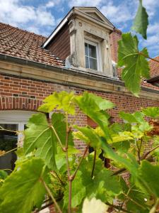 Maisons de vacances A la croisee des Louvieres 4 a 6 personnes : photos des chambres