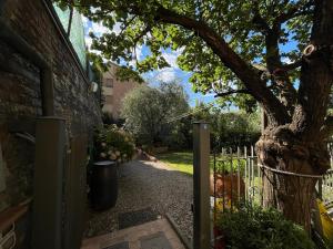Little garden house in Porta Camollia - AbcAlberghi.com