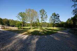 Apartamenty Białe Brzozy