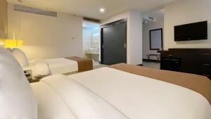 Hotel Trinitarias Suites