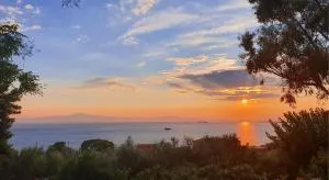 Sea La Vie - 维尔加卡拉马塔