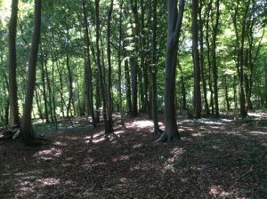 Sejours chez l'habitant La Canardiere : photos des chambres