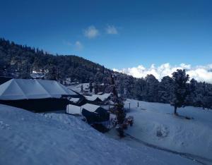Camping at Serene Chopta