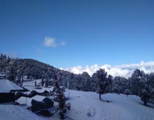 Camping at Serene Chopta