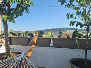 Ulivi di Minerva - Boutique Holiday Home - SUPER SUITE & SPA POLLON - Ostuni - Fasano - Cisternino