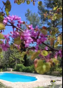 Appartements Villa avec piscine au calme : photos des chambres