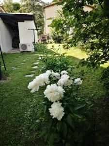 Maisons de vacances Maison 3 etoiles avec jardin pour familles, sportifs, curistes... : photos des chambres