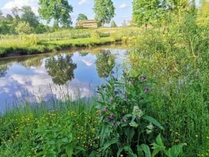 Cabana Casa de Piatra, de la Mara