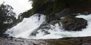 BlueMoon Homestay - Near to falls & Trekking