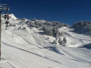 Appartement cosy avec terrasse exposée Sud, animaux acceptés - FR-1-549-94
