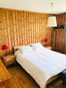 Chalet la Tulipe, mountain view, Terrace, BBQ