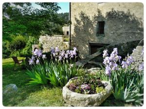 Maisons de vacances Maison Helianthy- Gite 11 personnes en Sud Ardeche : photos des chambres