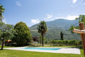 Torgglbauer Apartment 5