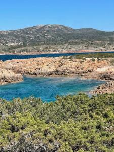 Appartement Baia delle mimose H9 img4