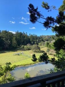 Cottage in The Woods, Maleny