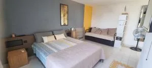 Studio annabella vue mer manganao - La Désirade