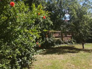 Rákos-patak Family House Garden & Free Parking