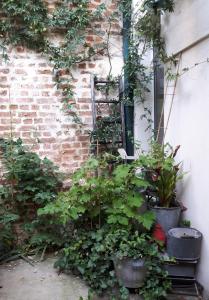 Appartements Le nichoir aux oiseaux : photos des chambres