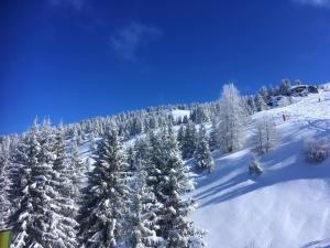 Chalets Chalet de 6 chambres a Valmeinier a 500 m des pistes avec jardin amenage et wifi : photos des chambres