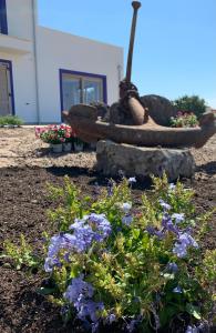 Residenza “La Vecchia Ancora” img22