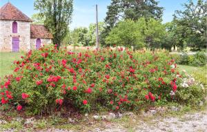 Maisons de vacances Awesome Home In Mauvires With Wifi, Private Swimming Pool And 3 Bedrooms : photos des chambres