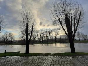 Ferienwohnung Why Not