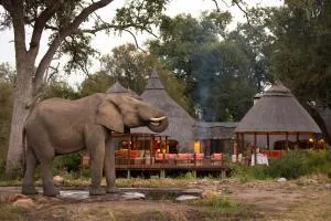 Hoyo Hoyo Safari Lodge - Rezervace Manyeleti