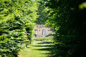 B&B / Chambres d'hotes Chateau de Ferrand : photos des chambres