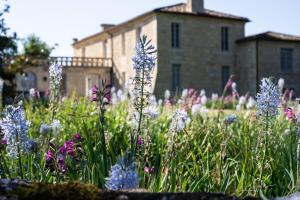 B&B / Chambres d'hotes Chateau de Ferrand : photos des chambres