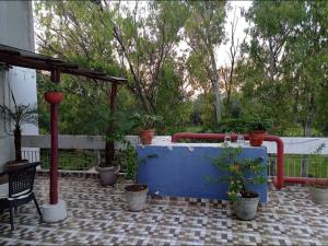 Nice Boutique Guest House In South Delhi Near Aiims,nift,srifort