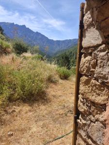 Maisons de vacances Les bergeries de Montestremo : photos des chambres