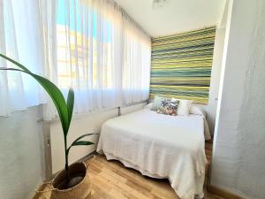 AA Guest - El Mono de Torre del Mar Eco Apartment