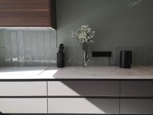 Hill Top apartment in central Kedainiai