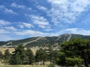 U064 - La marmotte enchantée - Gréolières les Neiges - 格雷奥利埃