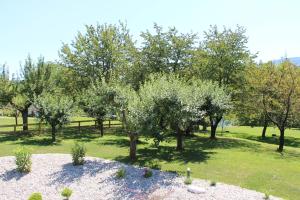 Glamping PEC - HALFBOARD