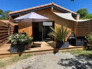 Les ptits nids du Lac - Le Moutchic