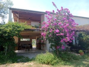 Maisons de vacances Domaine Limouzy : photos des chambres