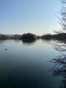 Appartements Vue mer et verdure : photos des chambres