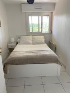 Appartements Vue mer et verdure : photos des chambres