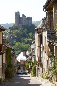 Maisons de vacances Loft au gre du Viaur : photos des chambres