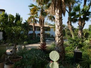 Hotels Hotel Casarose - Cannes Mandelieu : photos des chambres